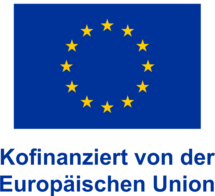 EU Logo